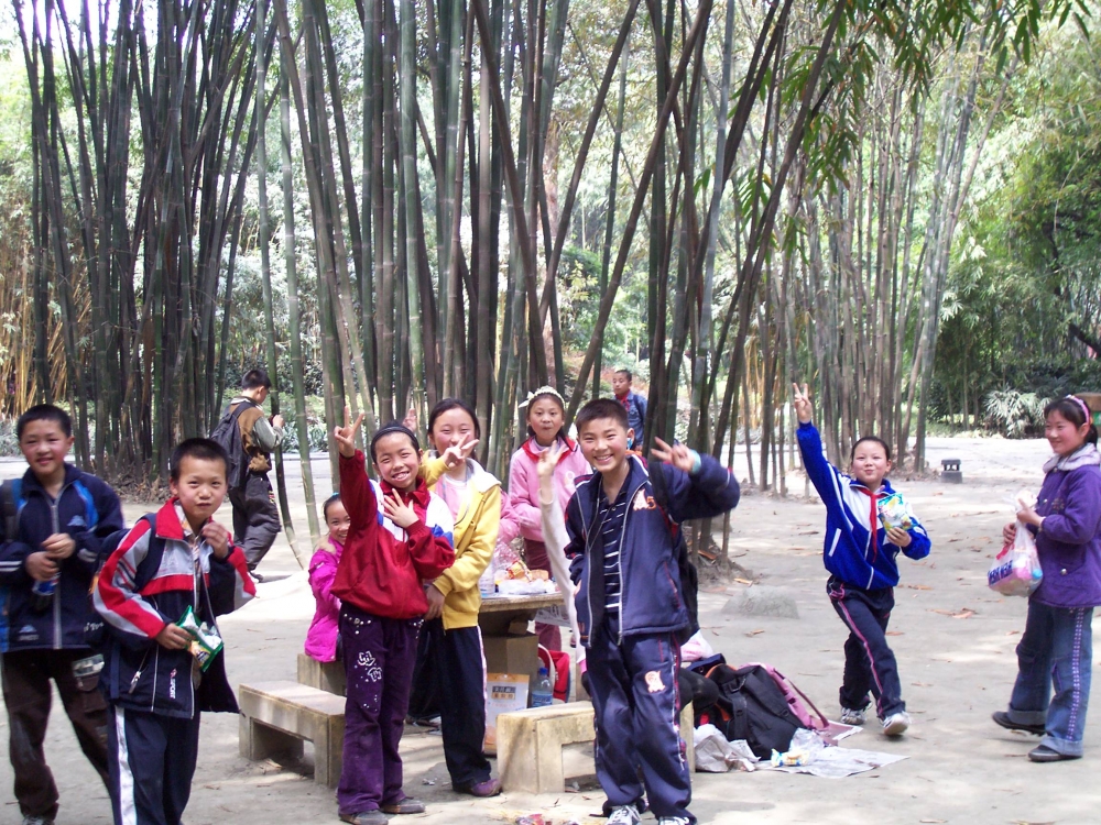  Bambuspark in China ID = 